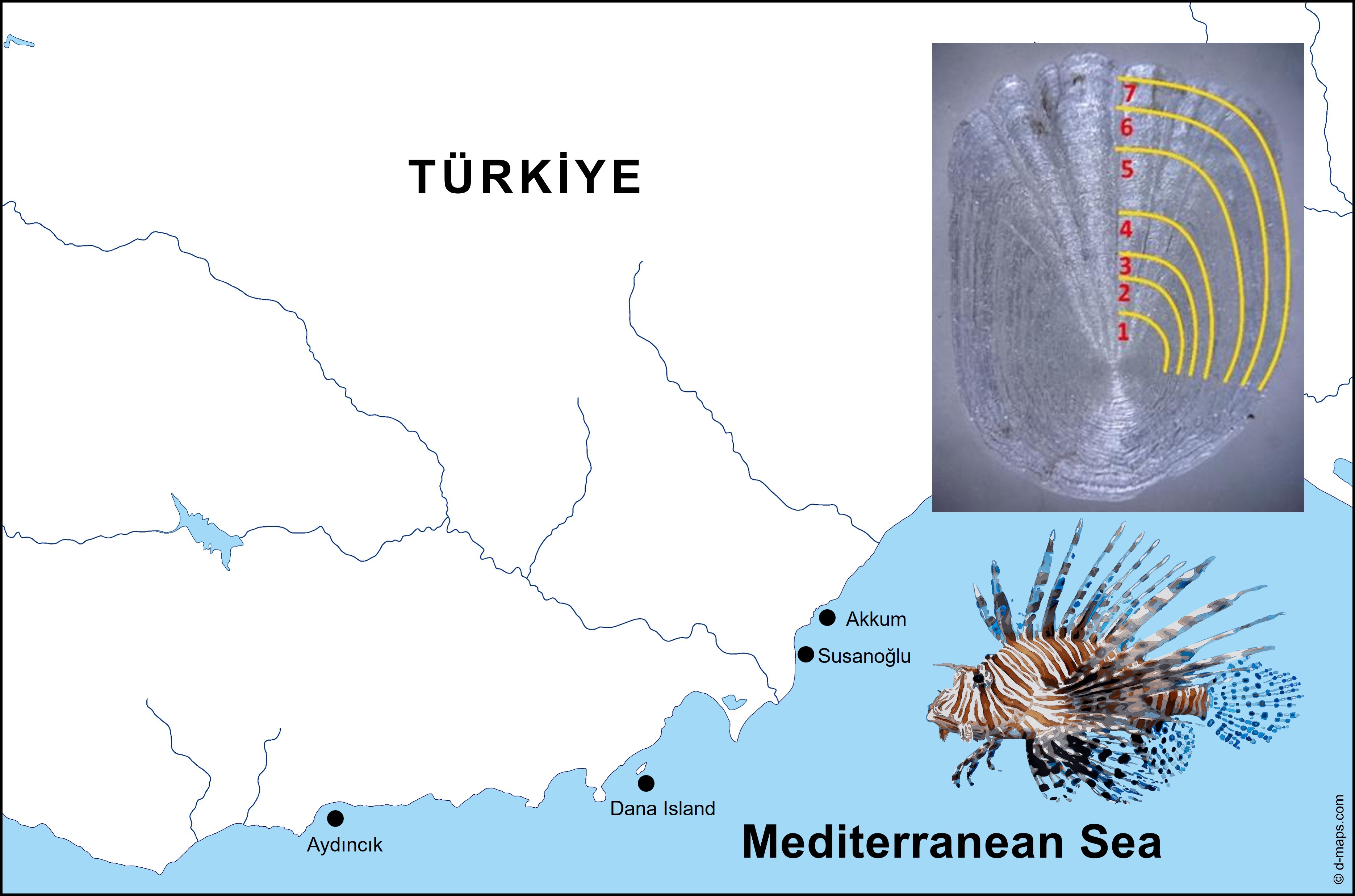 Sample of an image from paper